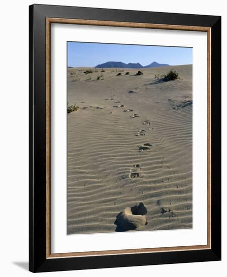 Footprints Through Sand Dunes, Near Corralejo, Fuerteventura, Canary Islands, Spain, Europe-Stuart Black-Framed Photographic Print