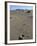 Footprints Through Sand Dunes, Near Corralejo, Fuerteventura, Canary Islands, Spain, Europe-Stuart Black-Framed Photographic Print