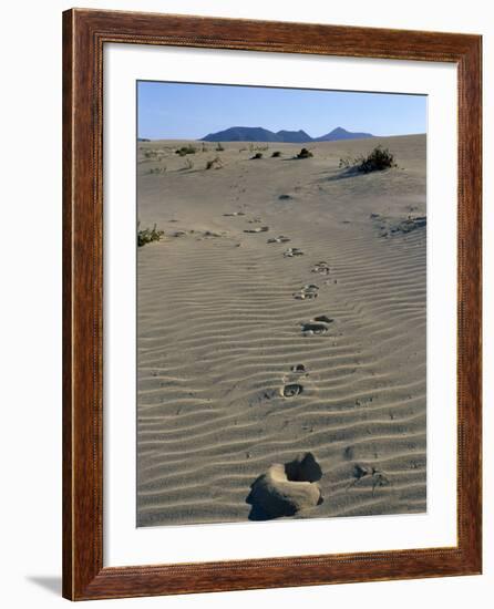 Footprints Through Sand Dunes, Near Corralejo, Fuerteventura, Canary Islands, Spain, Europe-Stuart Black-Framed Photographic Print