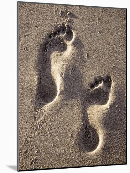 Footprints-Bruno Abarco-Mounted Photographic Print