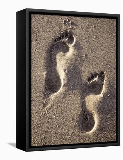 Footprints-Bruno Abarco-Framed Premier Image Canvas