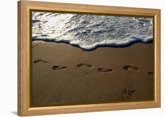 Footprints-Lynda White-Framed Premier Image Canvas