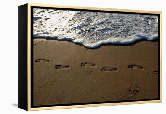 Footprints-Lynda White-Framed Premier Image Canvas