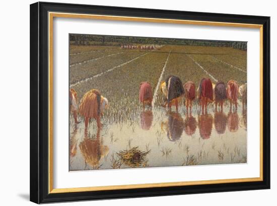 For 80 Cents, Row of Women Workers in a Rice Field, 1893-Angelo Morbelli-Framed Art Print