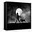 For All the Times-Hengki Lee-Framed Premier Image Canvas