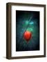 For Lovers-Philippe Sainte-Laudy-Framed Photographic Print