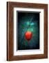 For Lovers-Philippe Sainte-Laudy-Framed Photographic Print