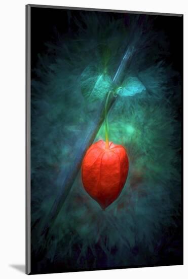 For Lovers-Philippe Sainte-Laudy-Mounted Photographic Print