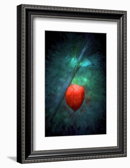 For Lovers-Philippe Sainte-Laudy-Framed Photographic Print