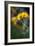 For Maria-Ursula Abresch-Framed Photographic Print