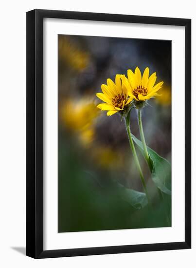 For Maria-Ursula Abresch-Framed Photographic Print