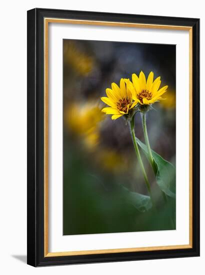 For Maria-Ursula Abresch-Framed Photographic Print