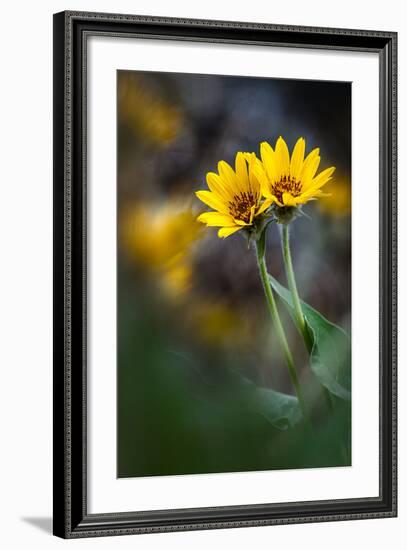 For Maria-Ursula Abresch-Framed Photographic Print