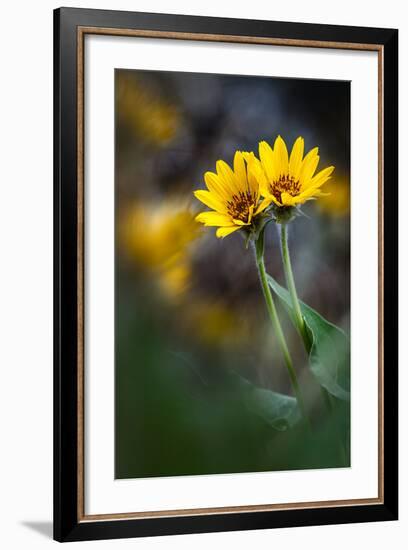 For Maria-Ursula Abresch-Framed Photographic Print