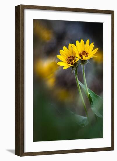 For Maria-Ursula Abresch-Framed Photographic Print