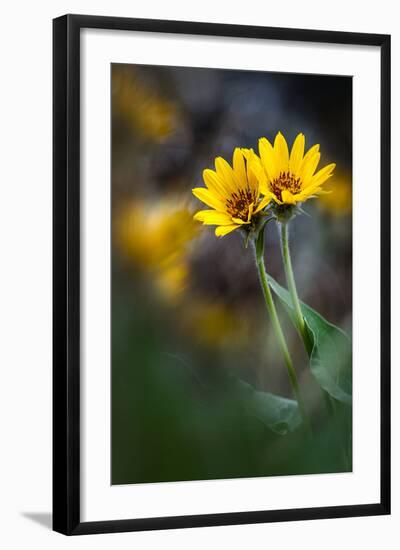 For Maria-Ursula Abresch-Framed Photographic Print