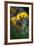 For Maria-Ursula Abresch-Framed Photographic Print