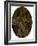 For Sale, 1857-James Collinson-Framed Giclee Print