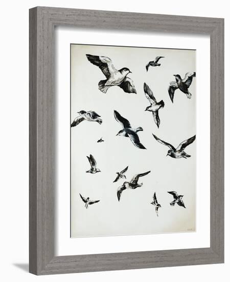 For the Birds-Sydney Edmunds-Framed Giclee Print