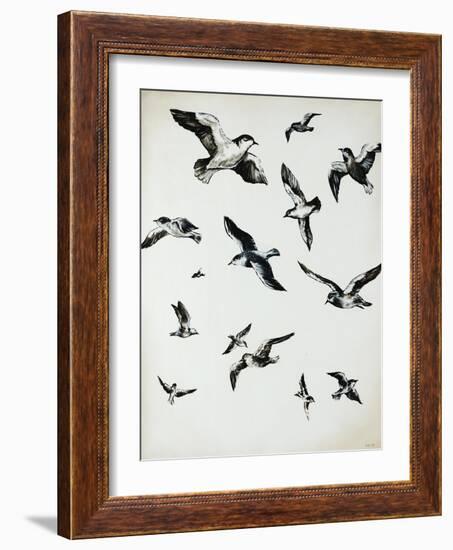 For the Birds-Sydney Edmunds-Framed Giclee Print