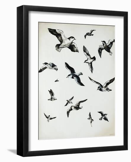 For the Birds-Sydney Edmunds-Framed Giclee Print
