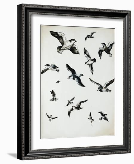 For the Birds-Sydney Edmunds-Framed Giclee Print