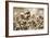 For the Glory of Raj: Indian Troops Charging the German Trenches at Neuve Chapelle-null-Framed Giclee Print