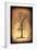 For the Love of Trees II-LightBoxJournal-Framed Giclee Print