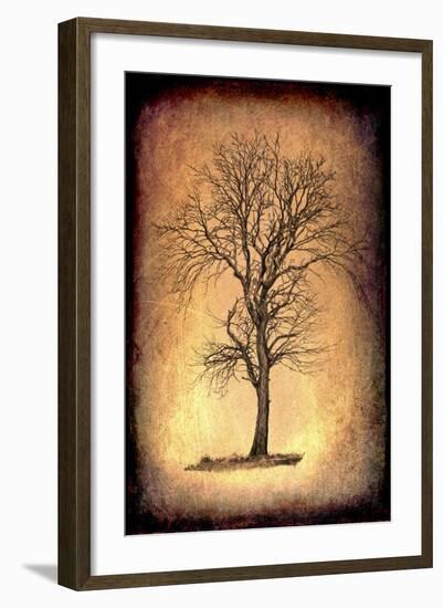 For the Love of Trees II-LightBoxJournal-Framed Giclee Print