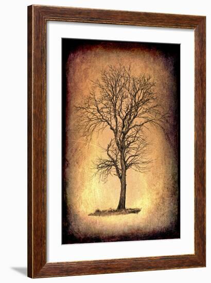 For the Love of Trees II-LightBoxJournal-Framed Giclee Print