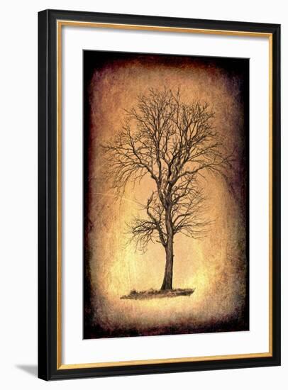 For the Love of Trees II-LightBoxJournal-Framed Giclee Print