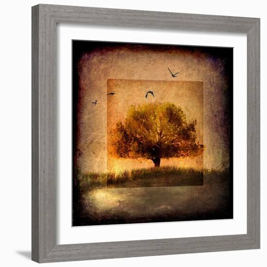 For the Love of Trees III-LightBoxJournal-Framed Giclee Print