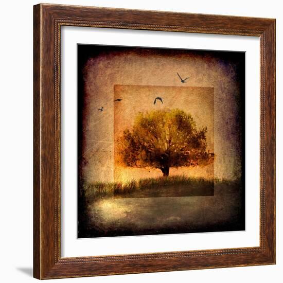 For the Love of Trees III-LightBoxJournal-Framed Giclee Print