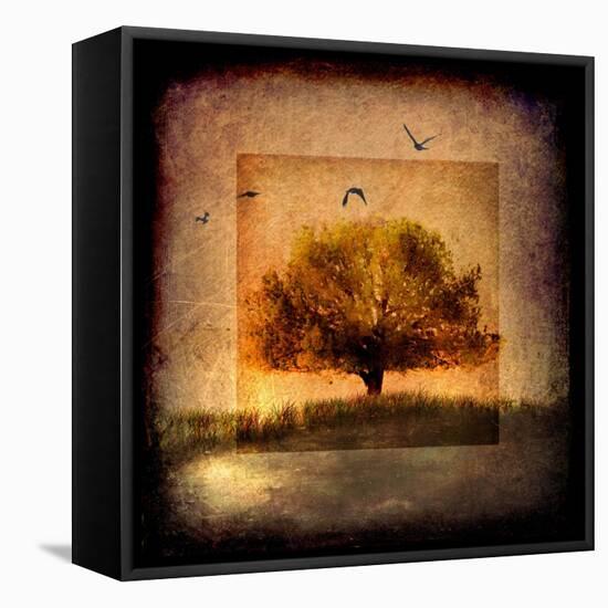 For the Love of Trees III-LightBoxJournal-Framed Premier Image Canvas