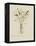 Foraged Bouquet I-Grace Popp-Framed Stretched Canvas