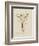 Foraged Bouquet I-Grace Popp-Framed Premium Giclee Print