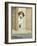 Forager the Puppy Waiting for More Food-Cecil Aldin-Framed Photographic Print