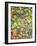 Foraging-Hilary Jones-Framed Giclee Print