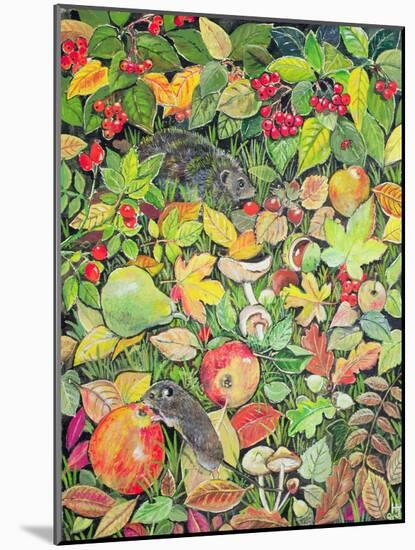 Foraging-Hilary Jones-Mounted Giclee Print