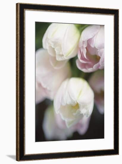 Foralis-Eva Charlotte Fransson-Framed Giclee Print