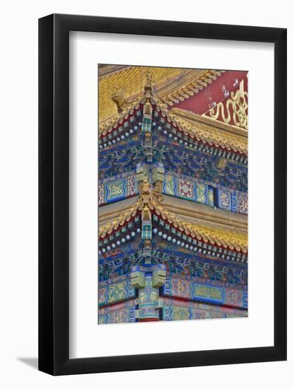 Forbidden City, Beijing. the Imperial Palace-Darrell Gulin-Framed Photographic Print