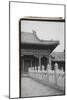 Forbidden City Walk, Beijing-Laura Denardo-Mounted Photographic Print