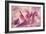 Force Lines of Landscape Amethyst-Giacomo Balla-Framed Premium Giclee Print