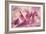 Force Lines of Landscape Amethyst-Giacomo Balla-Framed Giclee Print