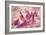 Force Lines of Landscape Amethyst-Giacomo Balla-Framed Giclee Print