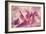 Force Lines of Landscape Amethyst-Giacomo Balla-Framed Giclee Print