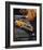 Ford 1982 Courier Sports Truck-null-Framed Art Print