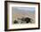 Ford Burning Desire Roadster 1927-Simon Clay-Framed Photographic Print