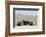 Ford Burning Desire Roadster 1927-Simon Clay-Framed Photographic Print