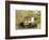 Ford Delivery van 1929-Simon Clay-Framed Photographic Print